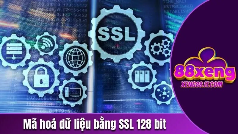 Những Chính Sách Quyền Riêng Tư Tại Xeng88 Mà Bạn Nên Biết 3 Mã hoá dữ liệu khách hàng bằng SSL 128 bit
